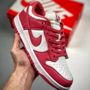 Nike Dunk Low White Archeo Pink DD1503-111 For Sale